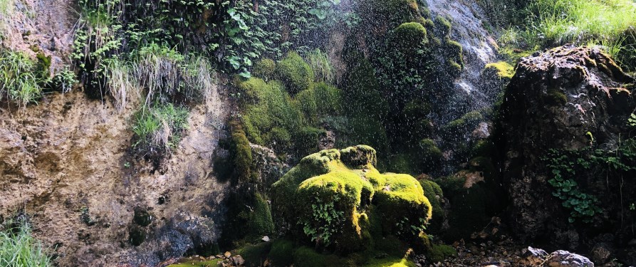 la natura rigogliosa delle Apuane, le montagne d'acqua